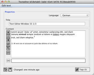 The Text Editor Window